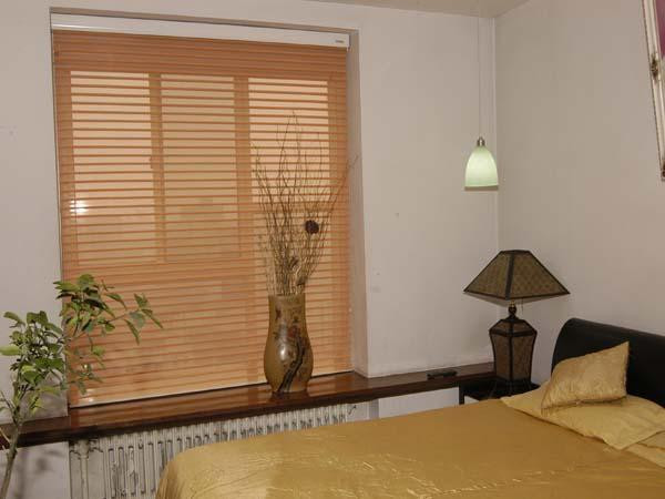 電動(dòng)百葉窗簾效果圖 電動(dòng)百葉窗簾效果圖